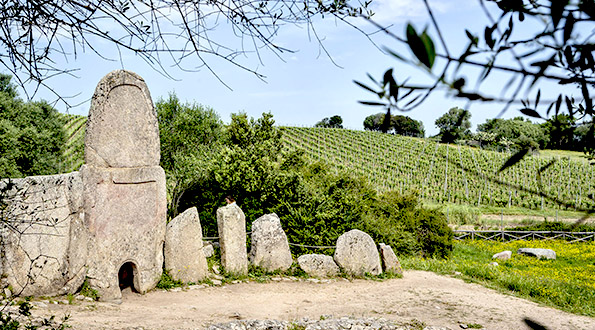 cultura vino sardegna