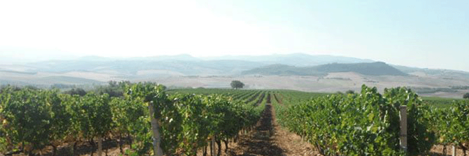 Piancornello Winery