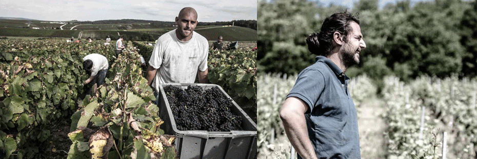 Bereche et fils Bereche et fils